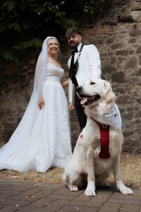 Daven-Casey-Wedding-Photography-Langtons-Hotel-Kilkenny-249