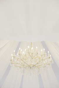 Leal-Vineyard-ceremony-reception-details-62