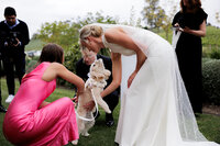 adelaide-wedding-photographer-golding-wines-gallery-158