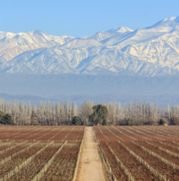 10-days-Argentina-Food-and0-Wine-itinerary-3