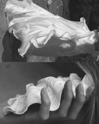 Creative bridal detail featuring a seashell and lace wedding gown, captured by a destination wedding photographer in Mallorca.