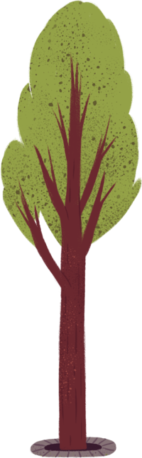 illustrated tall tree