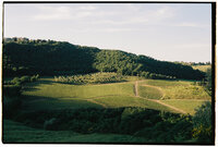 C&S - FILM-18