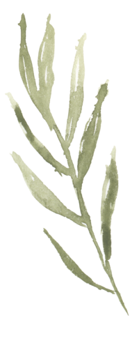 PKL4