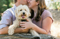 sacramento pet photographer, pet photographer sacramento, pet photos, pet photography, san francisco pet photos, pet photo sessions, pet photographer, pet photos sacramento, pet photos san francisco, family pet photos, family pet photo sessions