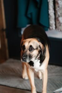 Kortnie+Joseph-9