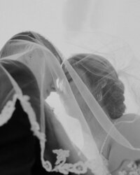 andres-molina-twnM_uWr3Gc-unsplash