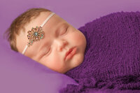 Newborn baby wrapped in purple fabric posed on soft backdrop in New Bern studio