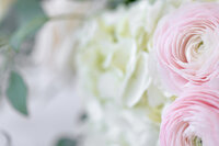 FocusCreative_Studio08_Flowers_005