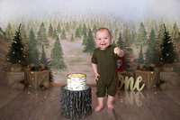 1st. Birthday Photos Cake Smash