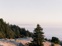San_Francisco_Wedding_Photographer378336_004