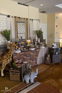 Distinct Event Planning & MP Matt African Safari Reception (7)