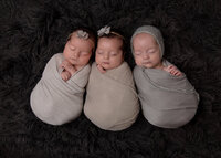 Posed newborn triplets wrapped in neutral fabric, Chicago newborn photographer