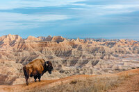 Badlands-2