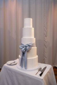 Liv and Adam - wedding day - 1528