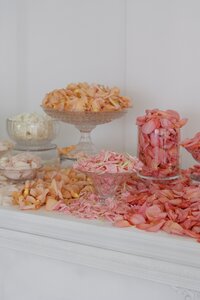 Newport Wedding Belle Mer. Deborah Zoe Photography. New England Wedding Photographer.