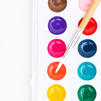 Watercolor paint tray on white background with white paintbrush