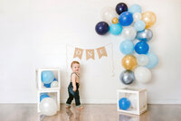 1st Birthday Milestone Photo boy standing up