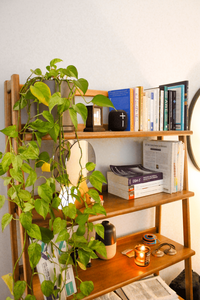 Reise Counseling Office | Neurofeedback