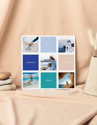 Palmina-Moodboard-Brand-Kit