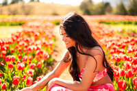 Belle Tulip Farm 53