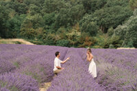 karina leigh - lavender field proposal-109