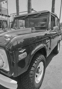 Belleza Sol - Bronco