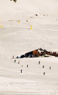 IMG_2252