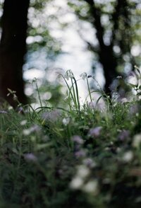 annie-spratt-PP_P67ET5Fw-unsplash