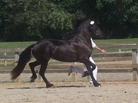 Godivatrotkeur2005