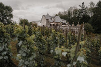 Vue du domaine viticole du Château Ste-Agnès à travers les rangs de vigne, château de pierre et tourelle en arrière-plan, ciel nuageux d'automne