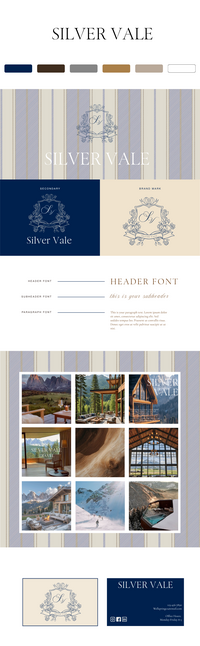 Silver Vale Flash Brand template