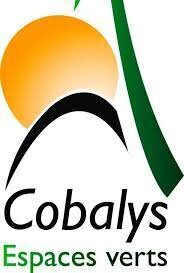 Logo Cobalys