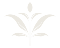 LittleSproutDoula_Graphic2_Fill_Stone