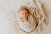 Sacramento, Elk Grove, Florin, Vineyard, Roseville, Davis, Rancho Cordova, East Sacramento, Cameron Park, Folsom, Antelope Newborn Photographer, Baby Photographer, A Little Goose