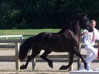 Godiva keur no feet on ground