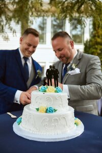 two grooms cutting a wedding cake