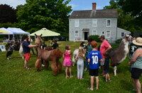 llama shows