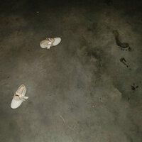 SPWEBSITE-1051608