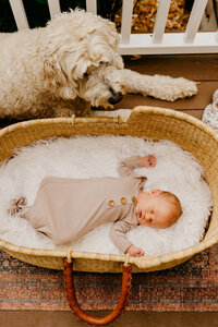 oconomowoc newborn photographer