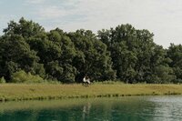 DSC00615