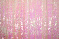Pearl-ReversibleSequin-Backdrop-BananaWho-01