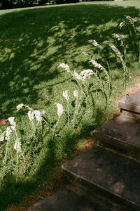E&B_WEDDING FILM-91