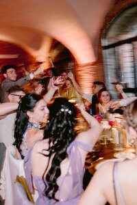 wedding-guests-dinner-toast-party-italy.jpg