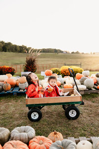 family mini engagement couple wedding christmas spring fall sessions maternity photographer wedding photography stuarts draft waynesboro charlottesville staunton54