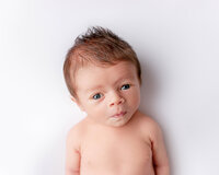 Awake newborn baby boy photographed during a studio newborn session in Watson Louisiana