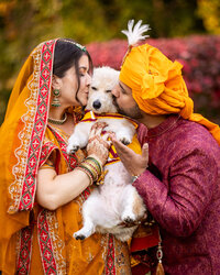 new-york-pet-wedding-attendant