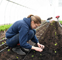 FarmerPlantingOrganicVegetablesAtStoneBankFarmMarket