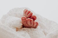 Sacramento, Elk Grove, Florin, Vineyard, Roseville, Davis, Rancho Cordova, East Sacramento, Cameron Park, Folsom, Antelope Newborn Photographer, Baby Photographer, A Little Goose