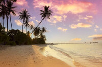 istockphoto-1604863709-612x612